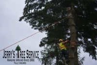 Jerrys Tree Service