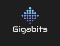 Gigabits Computer Repair and IT Solutions