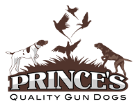 Brands,  Businesses, Places & Professionals Prince's Quality Gun Dogs in Pittsburg KS