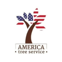 Brands,  Businesses, Places & Professionals America Tree Service LLC in Laurel MD