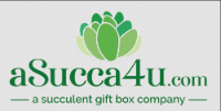 ASucca4U