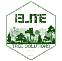 Elite Tree Solutions