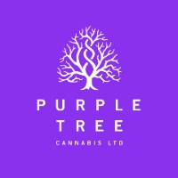 Purple Tree Cannabis - Mississauga Dispensary