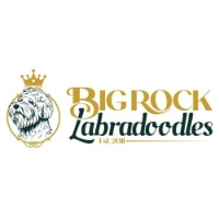 Brands,  Businesses, Places & Professionals Big Rock Labradoodles in High River AB