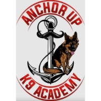 Brands,  Businesses, Places & Professionals Anchor Up K9 Academy in Chesapeake VA