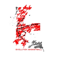 Brands,  Businesses, Places & Professionals Evolution Basketball in  