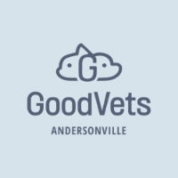 GoodVets Andersonville