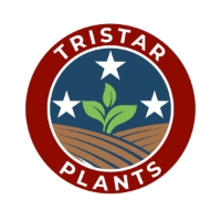 Tristar Plants