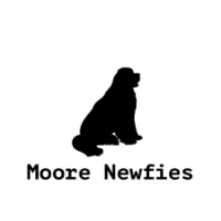 Moore Newfies