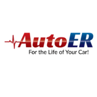 Brands,  Businesses, Places & Professionals Auto ER in Gainesville FL