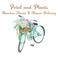 Brands,  Businesses, Places & Professionals Petal And Plants - Houston Florist & Flower Delivery in Houston TX