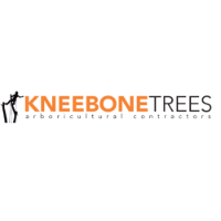 Brands,  Businesses, Places & Professionals Kneebone Trees Ltd in Paignton England