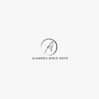 ALAMEDA MOLD GUYS