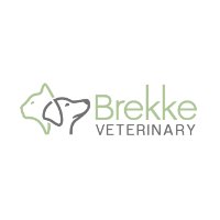 Brands,  Businesses, Places & Professionals Brekke Veterinary Clinic in Castle Rock CO