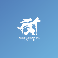 Animal Hospital of Soquel