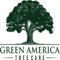 Green America Tree Care