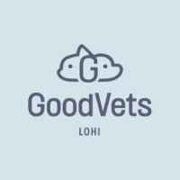 Brands,  Businesses, Places & Professionals GoodVets LoHi in Denver CO