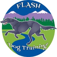 Flash Dog Training Broomfield Colorado