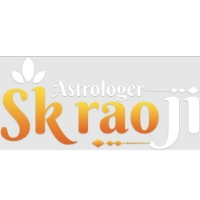 Pandith S K Rao Ji Spiritual Healer And Astrologer