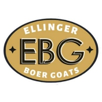 Brands,  Businesses, Places & Professionals Ellinger Boer Goats in Lancaster OH