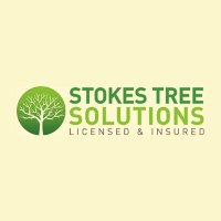 Stokes Tree Solutions