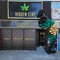 Brands,  Businesses, Places & Professionals Hidden Leaf Cannabis in Scarborough ON