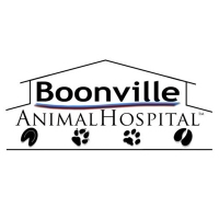 Brands,  Businesses, Places & Professionals Boonville Animal Hospital in Bryan TX