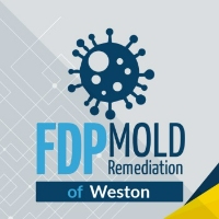 FDP Mold Remediation of Weston