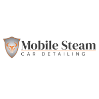 Arlington Mobile Steam Car Detailing