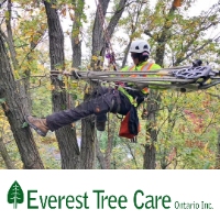 Everest Tree Care Ontario Inc.