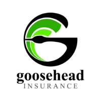 Lucky Penny - Goosehead Insurance