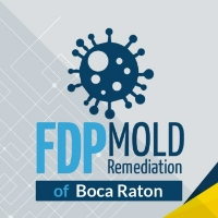 Brands,  Businesses, Places & Professionals FDP Mold Remediation of Boca Raton in Boca Raton FL