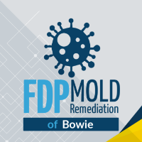 FDP Mold Remediation of Bowie