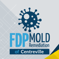 FDP Mold Remediation of Centreville