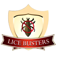 Lice Busters - Lice Removal and Treatment NYC