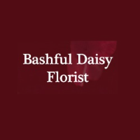 Bashful Daisy Florist