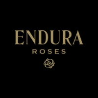 Endura Roses