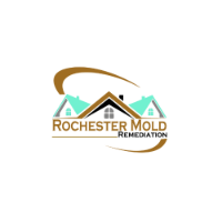 Brands,  Businesses, Places & Professionals Rochester Mold Remediation in Spencerport NY 