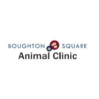 Boughton Square Animal Clinic