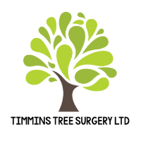 Brands,  Businesses, Places & Professionals Timmins Tree Surgery Ltd - Durham Tree Surgeon and Tree Services in Durham England