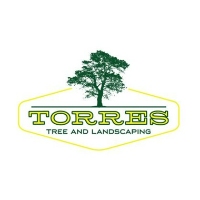 Torres Tree Service and Landscaping