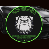 Brands,  Businesses, Places & Professionals Underdog Mobile Detail in Fort Worth TX