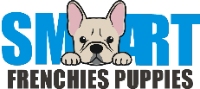 Brands,  Businesses, Places & Professionals Smart Frenchies Puppies in Colorado Springs, Colorado 