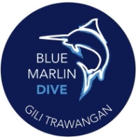 Blue Marlin Dive