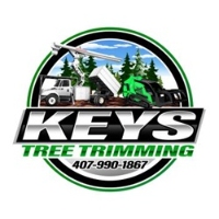 King Essential Yard Services Tree Trimming