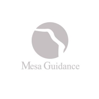 Mesa Guidance Psychiatry