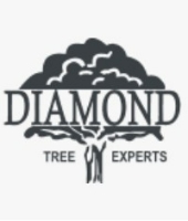 Brands,  Businesses, Places & Professionals Diamond Tree Experts in South Salt Lake UT