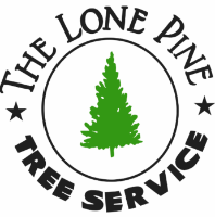 Brands,  Businesses, Places & Professionals Lone Pine Tree Service in Valley Springs CA