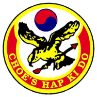 Choe's HapKiDo Martial Arts - Cumming