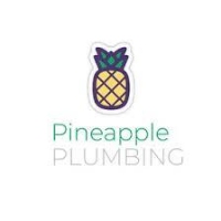 Pineapple Plumbing - Honolulu